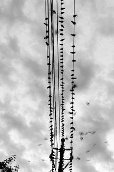 �˿���ϴ�Ƽ�����Ƶ��������δ��һ�»�Ʊ Ԥ����½������60��...